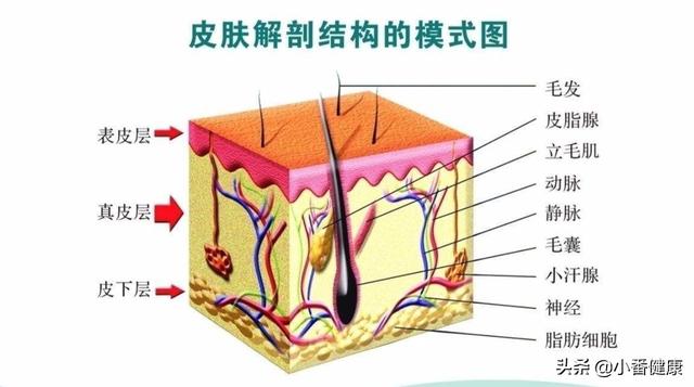 养生之道:八种状态，是身体在喊“救命”！